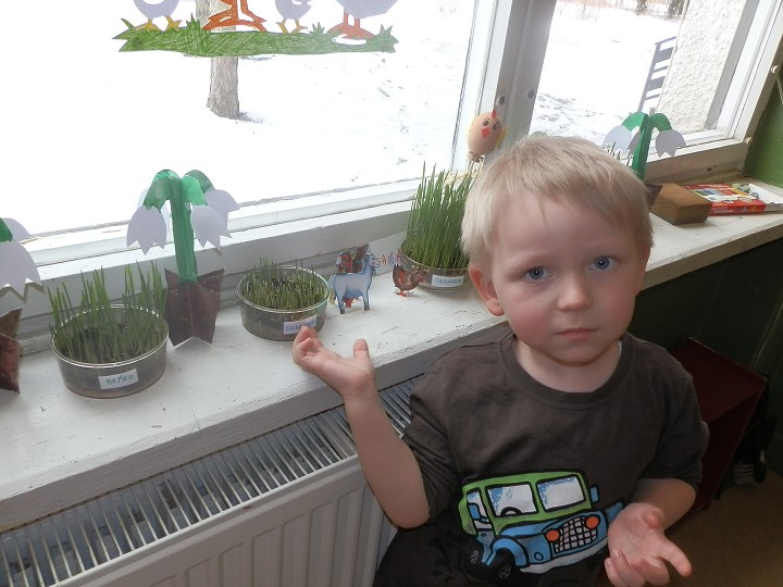 img00040.jpg